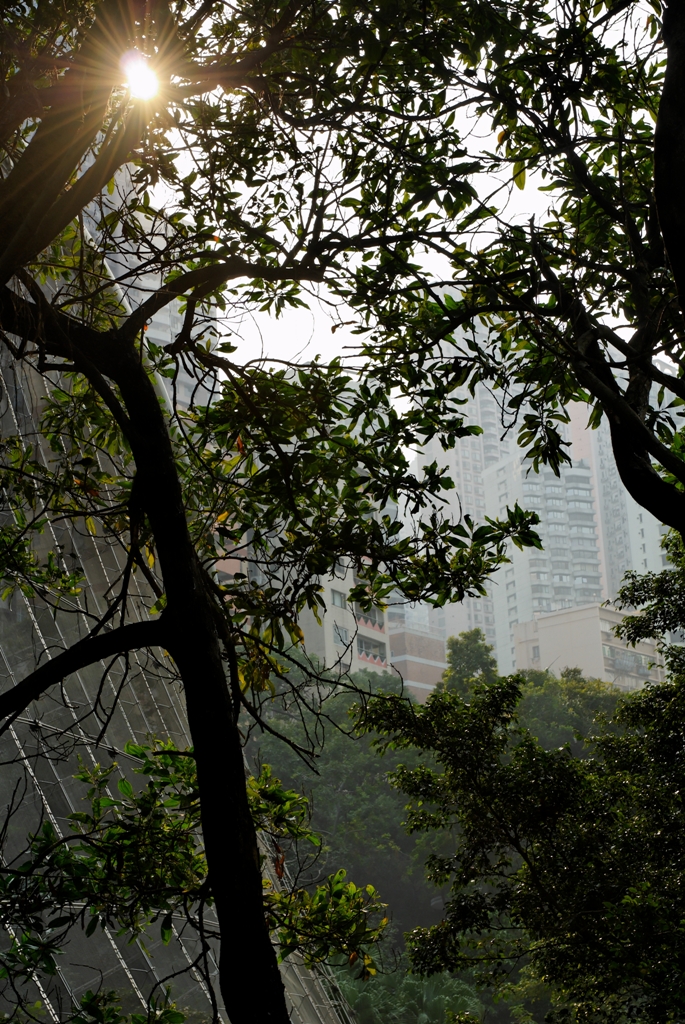 Hong-Kong Park